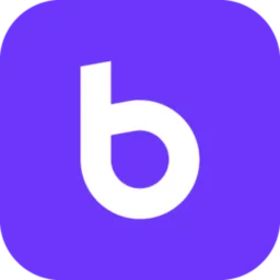 Braip logo